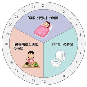 酵素栄養学とは？　～生理リズムを整えることで酵素を節約できる？～