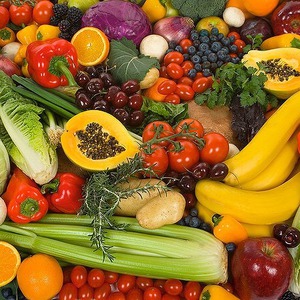 消化不良の原因　　⑤動物性食品の多い食事と食物繊維の少ない食事　～植物性食品の多い食事を心掛けましょう～