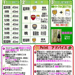ファスティング・デトックスプログラム チケットサンプル紹介
