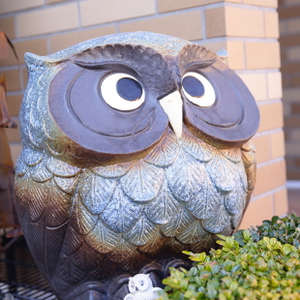 体質改善が着実に感じられる酵素風呂きばこ